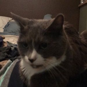 Meet your Posher, Lori